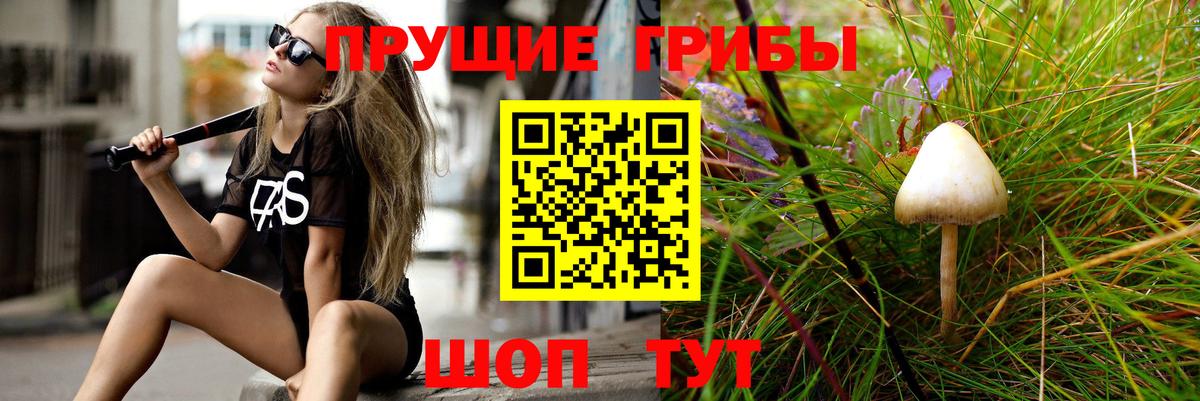 Галлюциногенные грибы мухоморы  Псилоцибиновые грибы Magic Shrooms  Бутурлиновка  закладка  Вход с VPN 